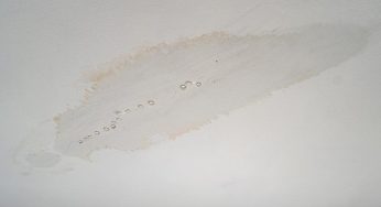 5 Problems a Leaky Roof Can Give You
